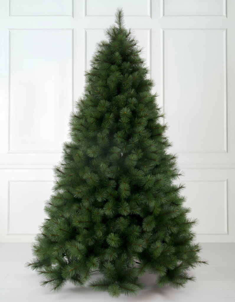 Scottish Needle Pine Tree