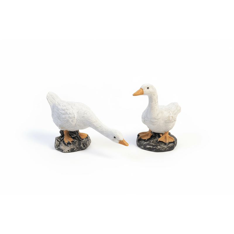 5 cms duck set
